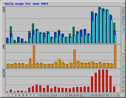 Daily usage for June 2024