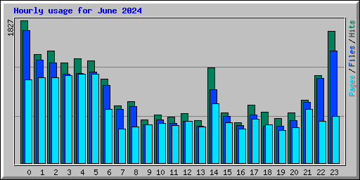 Hourly usage for June 2024