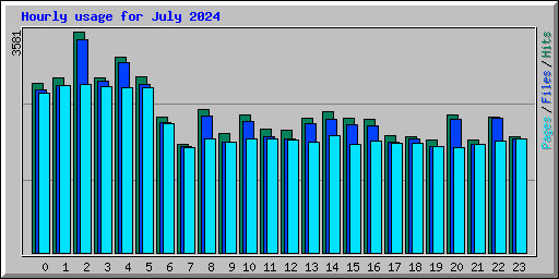 Hourly usage for July 2024