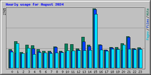 Hourly usage for August 2024