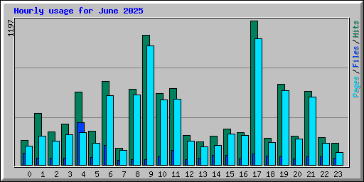 Hourly usage for June 2025