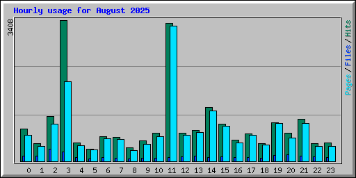 Hourly usage for August 2025