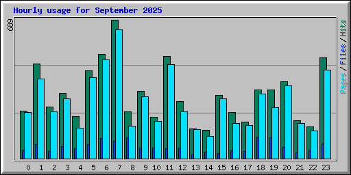 Hourly usage for September 2025