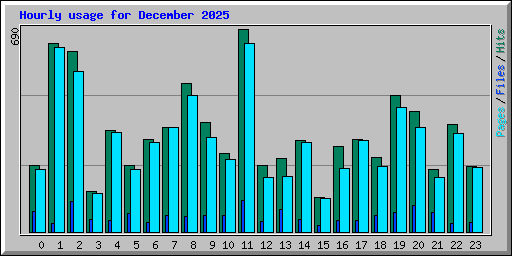 Hourly usage for December 2025
