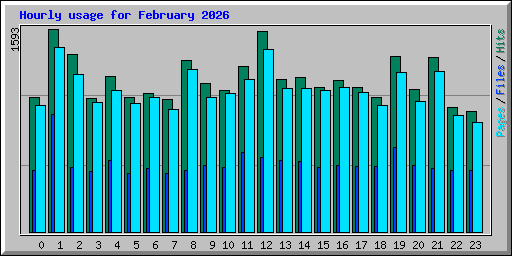 Hourly usage for February 2026