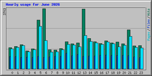 Hourly usage for June 2026