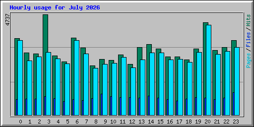 Hourly usage for July 2026