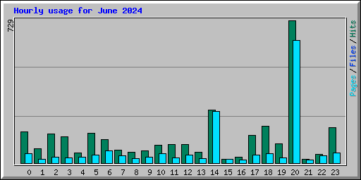 Hourly usage for June 2024