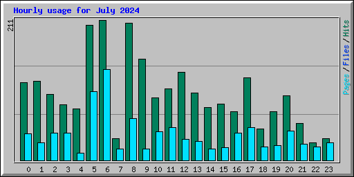 Hourly usage for July 2024