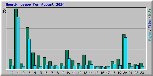 Hourly usage for August 2024