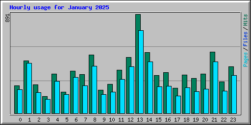Hourly usage for January 2025