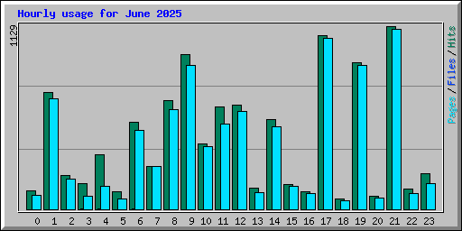 Hourly usage for June 2025