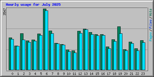 Hourly usage for July 2025
