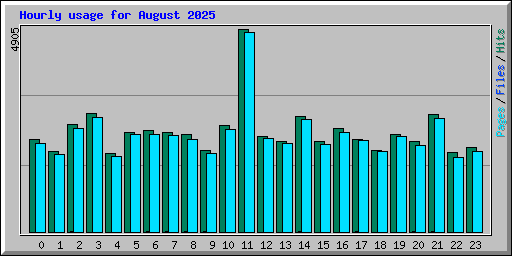 Hourly usage for August 2025