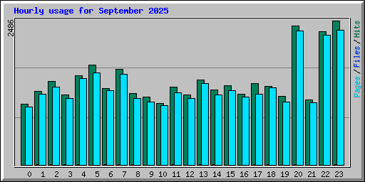 Hourly usage for September 2025