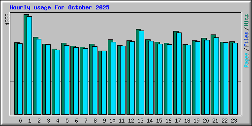 Hourly usage for October 2025