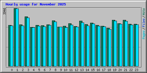 Hourly usage for November 2025