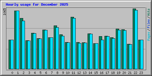 Hourly usage for December 2025