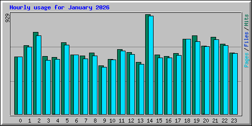 Hourly usage for January 2026